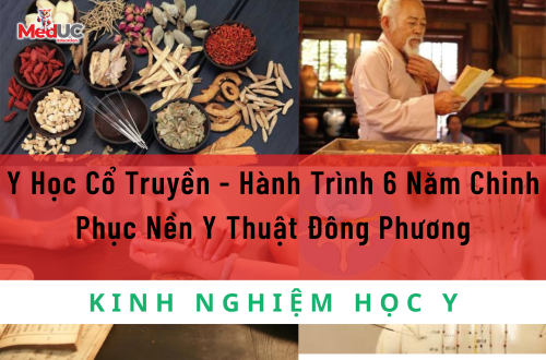 Y Học Cổ Truyền - Hành Trình 6 Năm Chinh Phục Nền Y Thuật Đông Phương