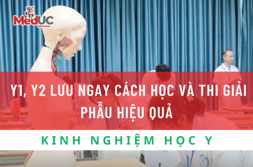 Bí Quyết Học Giải Phẫu Hiệu Quả Để Chinh Phục Kỳ Thi