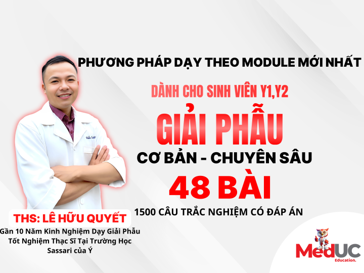 [Giải Phẫu 1, 2] Cơ Bản -> Chuyên Sâu