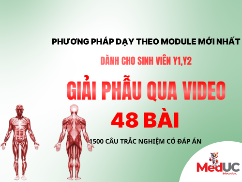 Khóa Học Giải Phẫu Video