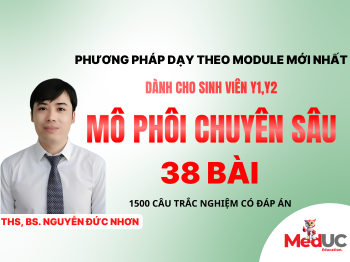 Mô Phôi Chuyên Sâu (38 Bài + 380 sơ đồ ghi nhớ)