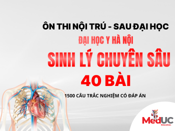Sinh Lý SĐH - Y Hà Nội (Chuyên Sâu: 40 Bài)