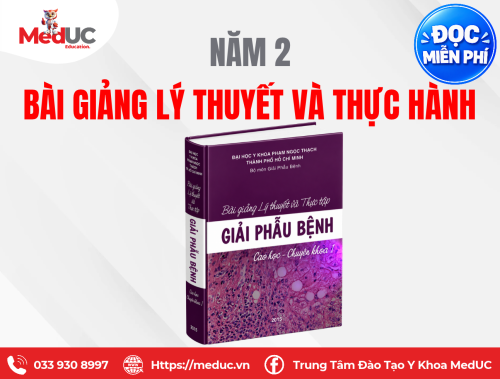 [Năm 2 Giải Phẫu Bệnh] Bài Giảng Lý Thuyết Và Thực Hành Miễn Phí