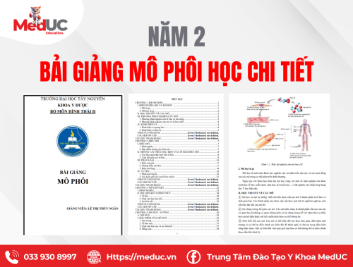 [Năm 2 Mô Phôi] Bài Giảng Mô Phôi Học Đầy Đủ