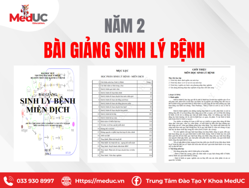 [Năm 2 Sinh Lý Bệnh MD] Bài Giảng Cơ Bản