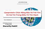 LIPOPROTEIN: CHỨC NĂNG BẢO VỆ TRÁI TIM VÀ VAI TRÒ TRONG ĐIỀU TRỊ TIM MẠCH