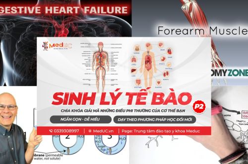 5 Kênh YouTube Sinh Viên Y Không Nên Bỏ Qua Để Học Tập Hiệu Quả