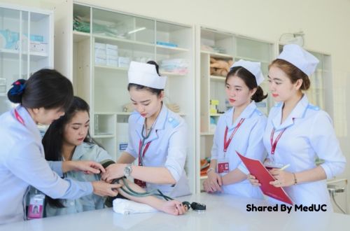 Bí Kíp Sinh Viên Y Đạt Điểm Cao, Xây Dựng Chiến Lược Học Tập Hiệu Quả