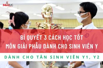 BÍ QUYẾT 3 CÁCH HỌC TỐT MÔN GIẢI PHẪU DÀNH CHO SINH VIÊN Y