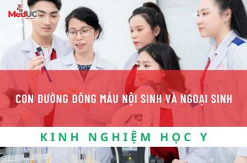CON ĐƯỜNG ĐÔNG MÁU NỘI SINH VÀ NGOẠI SINH