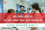 GIẢI PHẪU NỀN SỌ - “NÚT GIAO THÔNG” QUAN TRỌNG CỦA NÃO BỘ 