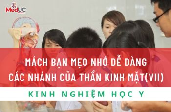 MÁCH BẠN MẸO NHỚ DỄ DÀNG CÁC NHÁNH CỦA THẦN KINH MẶT(VII)