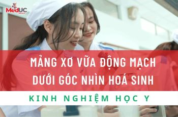 MẢNG XƠ VỮA ĐỘNG MẠCH DƯỚI GÓC NHÌN HOÁ SINH