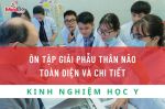 ÔN TẬP GIẢI PHẪU THÂN NÃO TOÀN DIỆN VÀ CHI TIẾT
