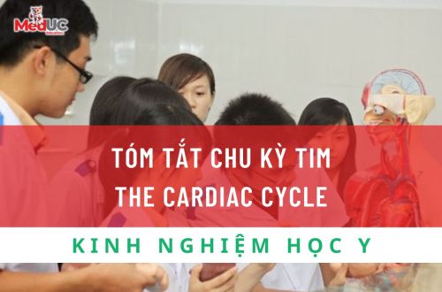 TÓM TẮT CHU KỲ TIM THE CARDIAC CYCLE
