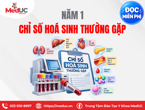 [Năm 1 - Hóa Sinh] Các chỉ số Hóa Sinh Thường Gặp Miễn Phí