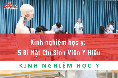 Kinh nghiệm học y: 5 Bí Mật Chỉ Sinh Viên Y Hiểu
