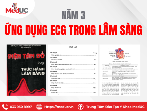 [Năm 3 ECG] Ứng Dụng Trong Lâm Sàng Học