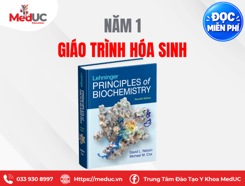 [Năm 1 - Hóa Sinh] Giáo Trình Hóa Sinh Miễn Phí