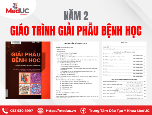 [Năm 2 Giải Phẫu Bệnh] Giáo Trình Học