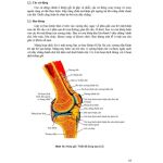 Giải phẫu người 2022 (in Màu) + khóa học theo sách