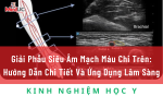 Giải Phẫu Siêu Âm Mạch Máu Chi Trên: Hướng Dẫn Chi Tiết Và Ứng Dụng Lâm Sàng