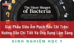 Ôn Tập Các Hình Thể Vi Khuẩn Dễ Nhớ Nhất