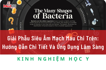 Ôn Tập Các Hình Thể Vi Khuẩn Dễ Nhớ Nhất