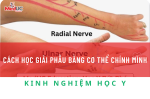 Cách Học Giải Phẫu Hiệu Quả Qua Cơ Thể Chính Mình: Bí Quyết Cho Sinh Viên Y Khoa