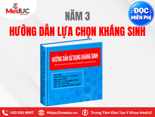 [Năm 3 Dược Lý] Hướng Dẫn Lựa Chọn Kháng Sinh Miễn Phí