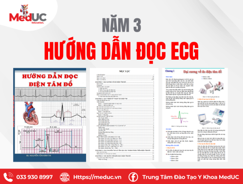 [Năm 3 ECG] Hướng Dẫn Học Chi Tiết