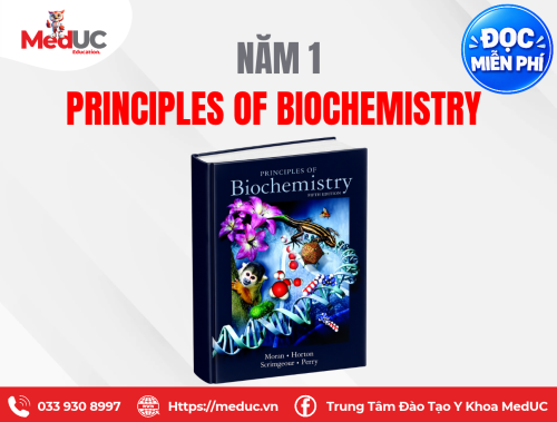 [Năm 1 - Hóa Sinh] Principles of Biochemistry 5th Edition Miễn Phí