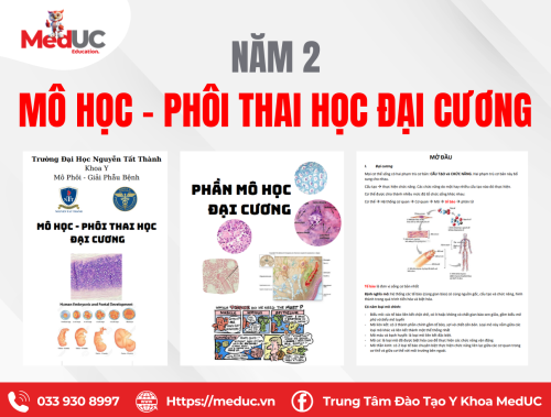 [Năm 2 Mô Phôi] Tổng Hợp Kiến Thức Nền Tảng