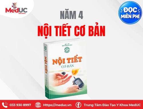 [Năm 4 Nội Khoa] Nội Tiết Cơ Bản Miễn Phí