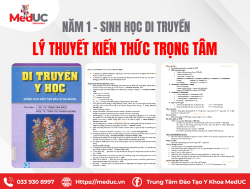 [Năm 1 - Sinh Học Di Truyền] Lý Thuyết Kiến Thức Trọng Tâm