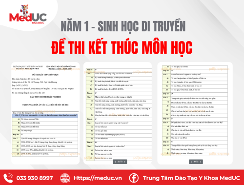 [Năm 1 - Sinh Học Di Truyền] Đề Thi Kết Thúc Môn Học