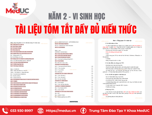 [Năm 2 Vi Sinh Học] Tài Liệu Tóm Tắt Đầy Đủ Kiến Thức