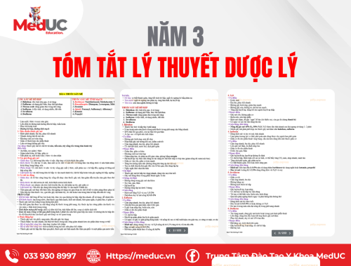[Năm 3 Dược Lý] Tóm Tắt Lý Thuyết Dược Lý