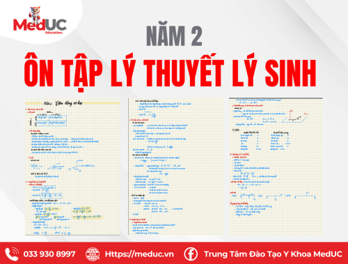 [Năm 2 Lý Sinh] Tổng Hợp Lý Thuyết Đầy Đủ Theo Chương