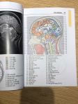 Giải phẫu cắt lớp CT - MRI (3 tập, in Full màu) + khóa học theo sách