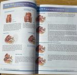 Khám lâm sàng & hỏi bệnh sử BATES (2 tập, bản Tiếng việt, in Full màu) + khóa học theo sách