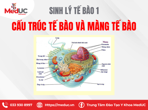 [SLTB] Cấu Trúc Tế Bào Và Màng Tế Bào
