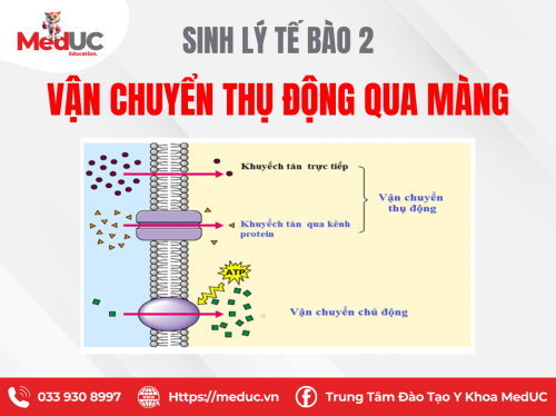 [SLTB] Vận chuyển thụ động qua màng