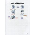 Sách giáo khoa Sinh lý bệnh học 2023 (in Màu) + khóa học theo sách