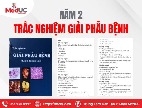 [Năm 2 Giải Phẫu Bệnh] Câu Hỏi Trắc Nghiệm Có Đáp Án