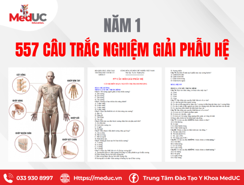 [Năm 1 - Giải Phẫu] Câu Hỏi Trắc Nghiệm Theo Hệ