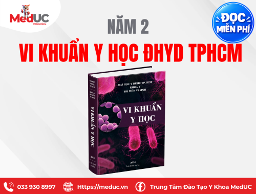 [Năm 2 Vi Sinh Học] Vi Khuẩn Y Học ĐHYD TPHCM Miễn Phí