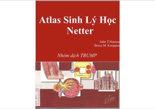 Atlas sinh lý học Netter-MedUC.vn