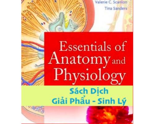 SÁCH DỊCH GIẢI PHẪU VÀ SINH LÝ-MedUC.vn