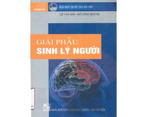 Giải Phẫu Sinh Lý Người – ĐH Quốc Gia Hà Nội- MedUC.vn
